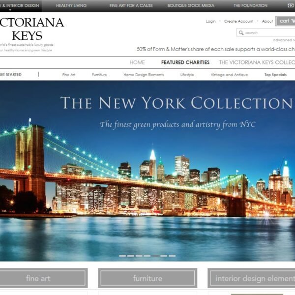 ecommerce-website-fine-art